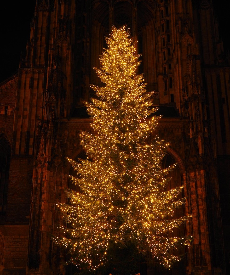 this image shows christmas tree lighting in El Dorado Hills, CA