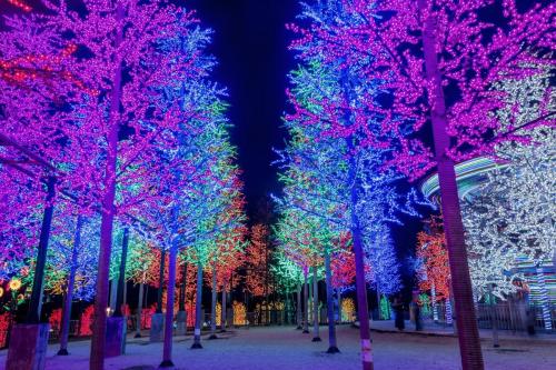 this image shows tree christmas lights in El Dorado Hills, CA