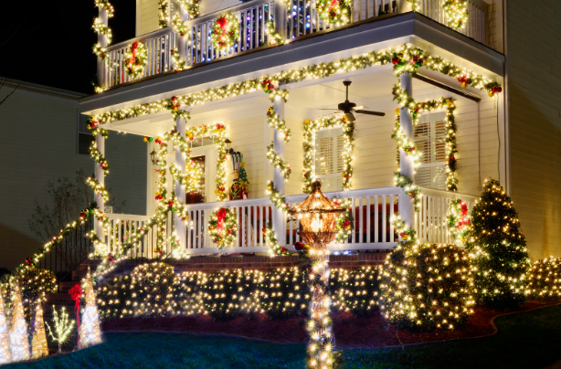 this image shows bush Christmas light in El Dorado Hills, CA