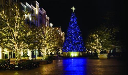this image shows commercial Christmas tree lights in El Dorado Hills, CA