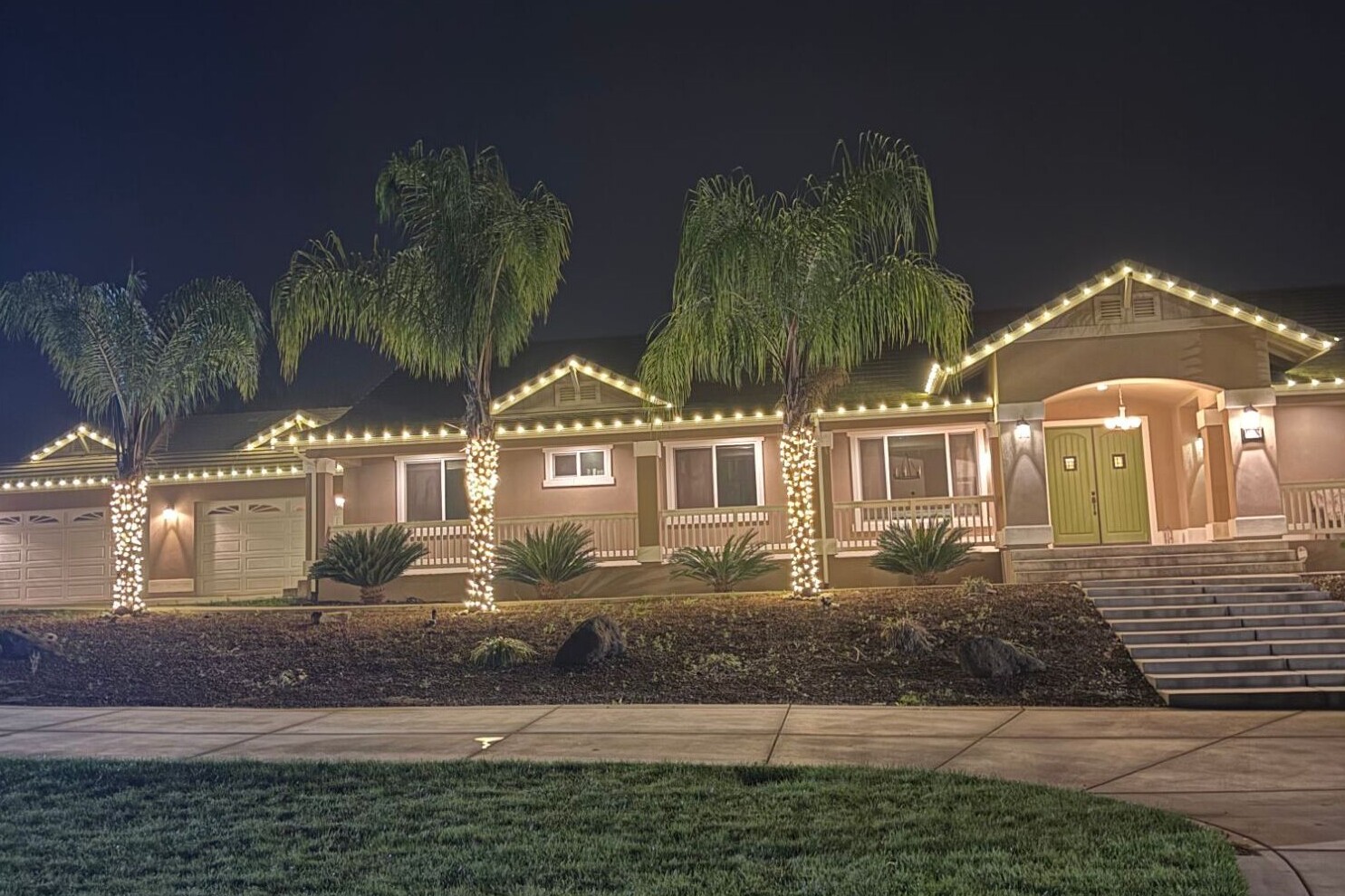 Christmas light hanging in El Dorado Hills, CA: ranch home warm white roofline palm wraps front