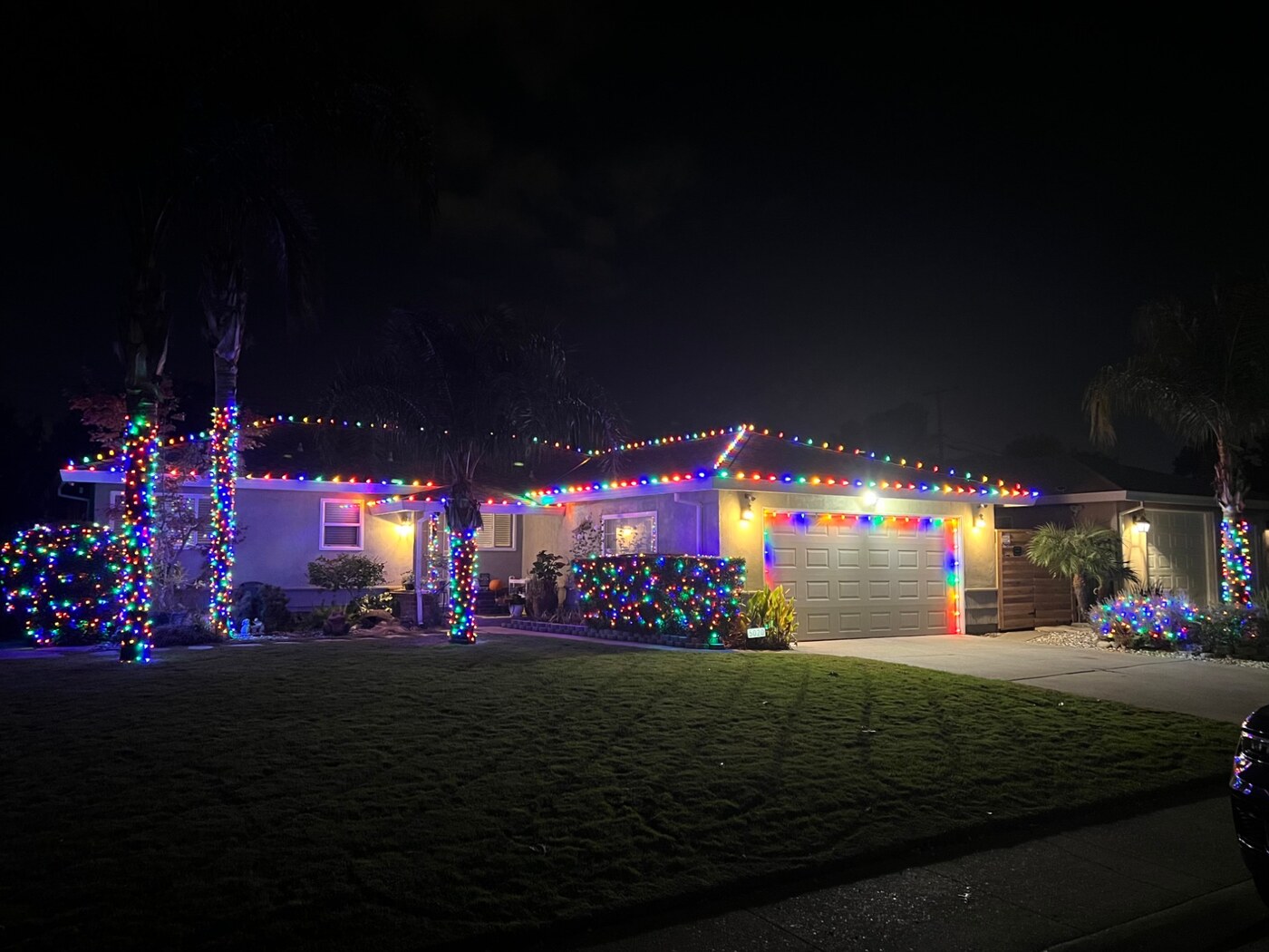 Christmas light installation in El Dorado Hills, CA: palms multicolor