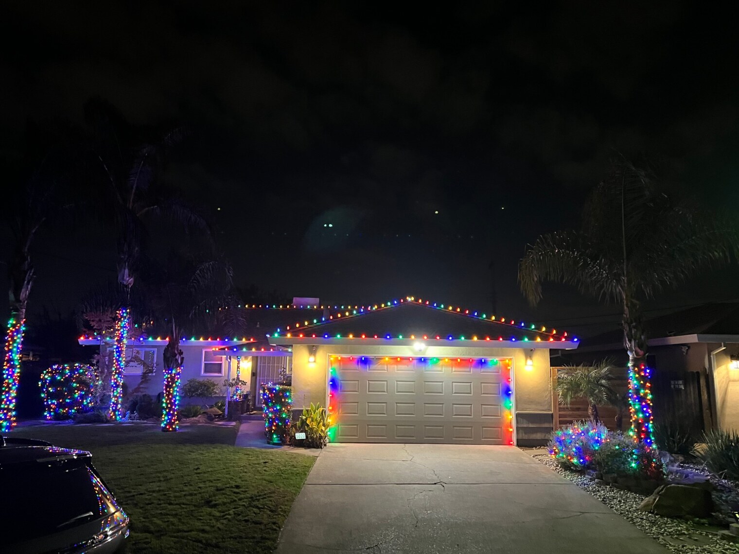 Holiday light installation in El Dorado Hills, CA: ranch multicolor roofline garage outline palm wraps