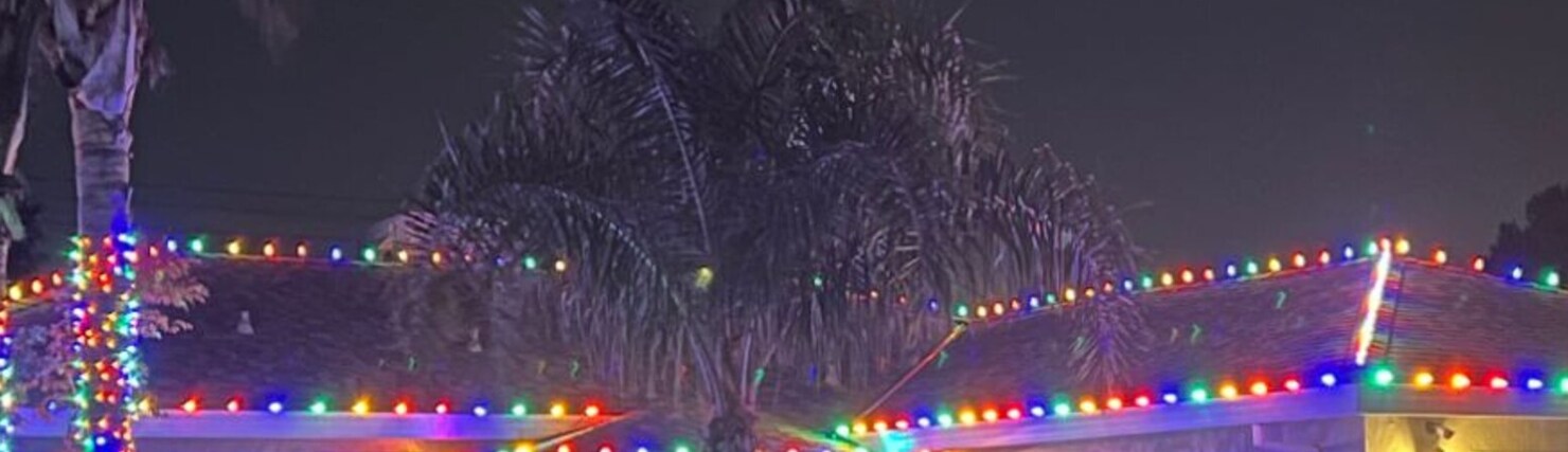 Holiday lighting in El Dorado Hills, CA: multicolor c9 eave run palm wrap